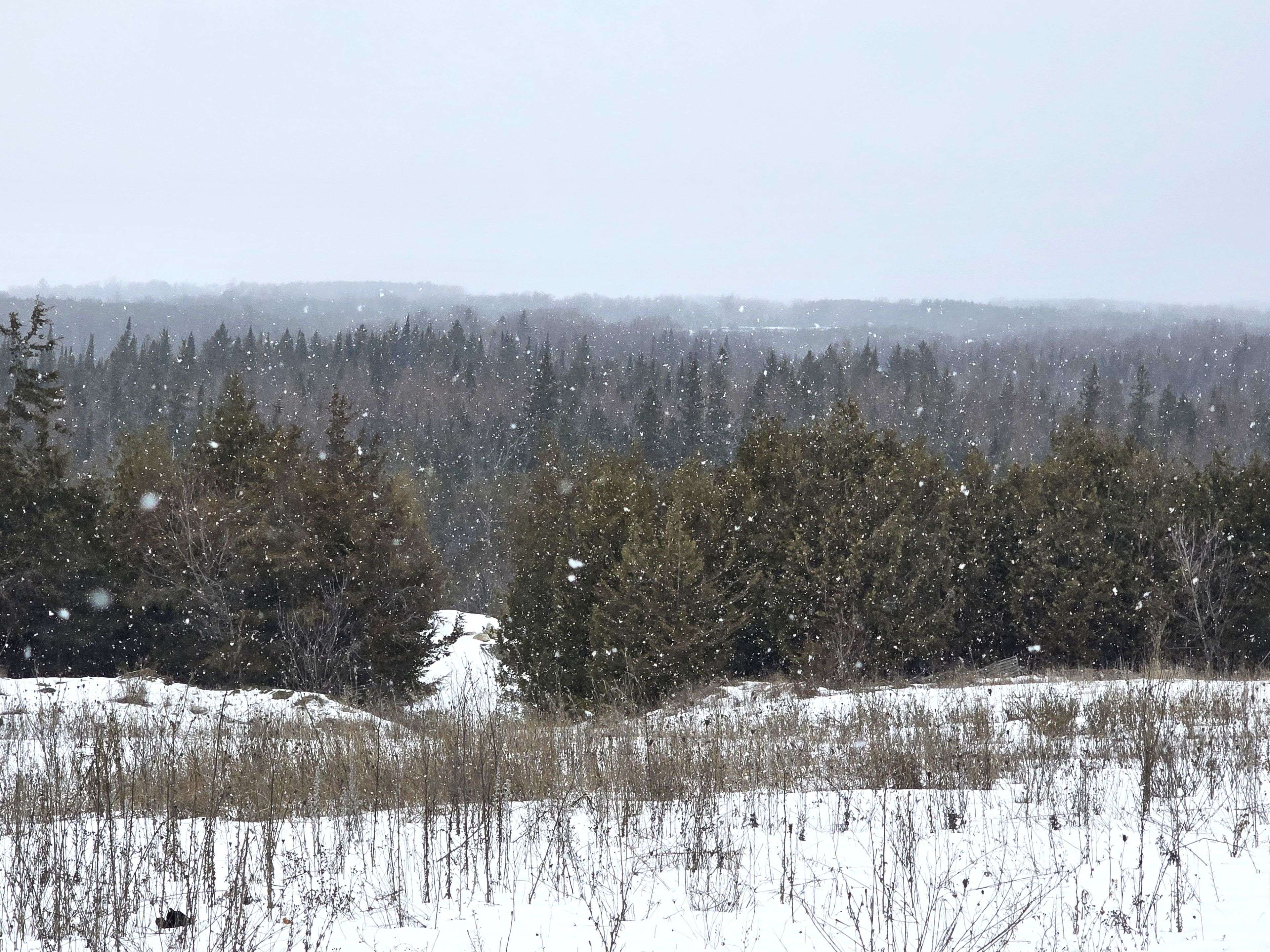 Tyendinaga, ON K0K 1V0,0 Shannonville RD