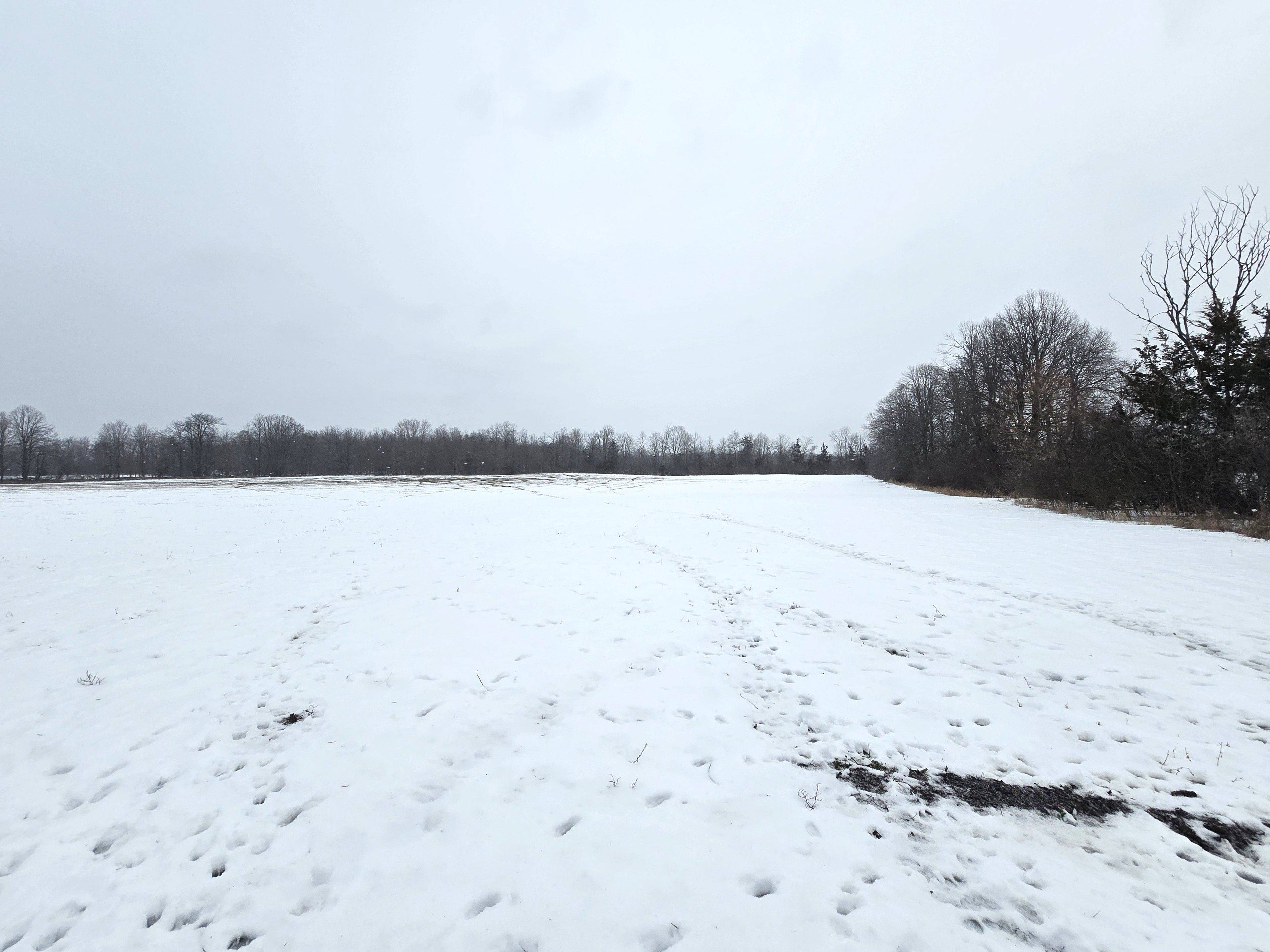 Tyendinaga, ON K0K 1V0,0 Shannonville RD