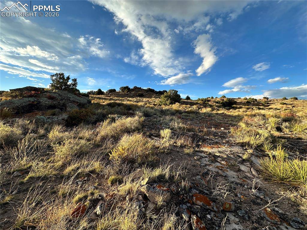 1750 County Road 22, Del Norte, CO 81132