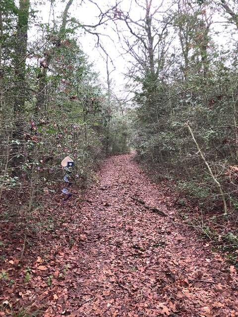 Streetman, TX 75859,118 Lincoln Drive