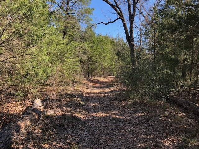 Streetman, TX 75859,127 Lincoln Drive