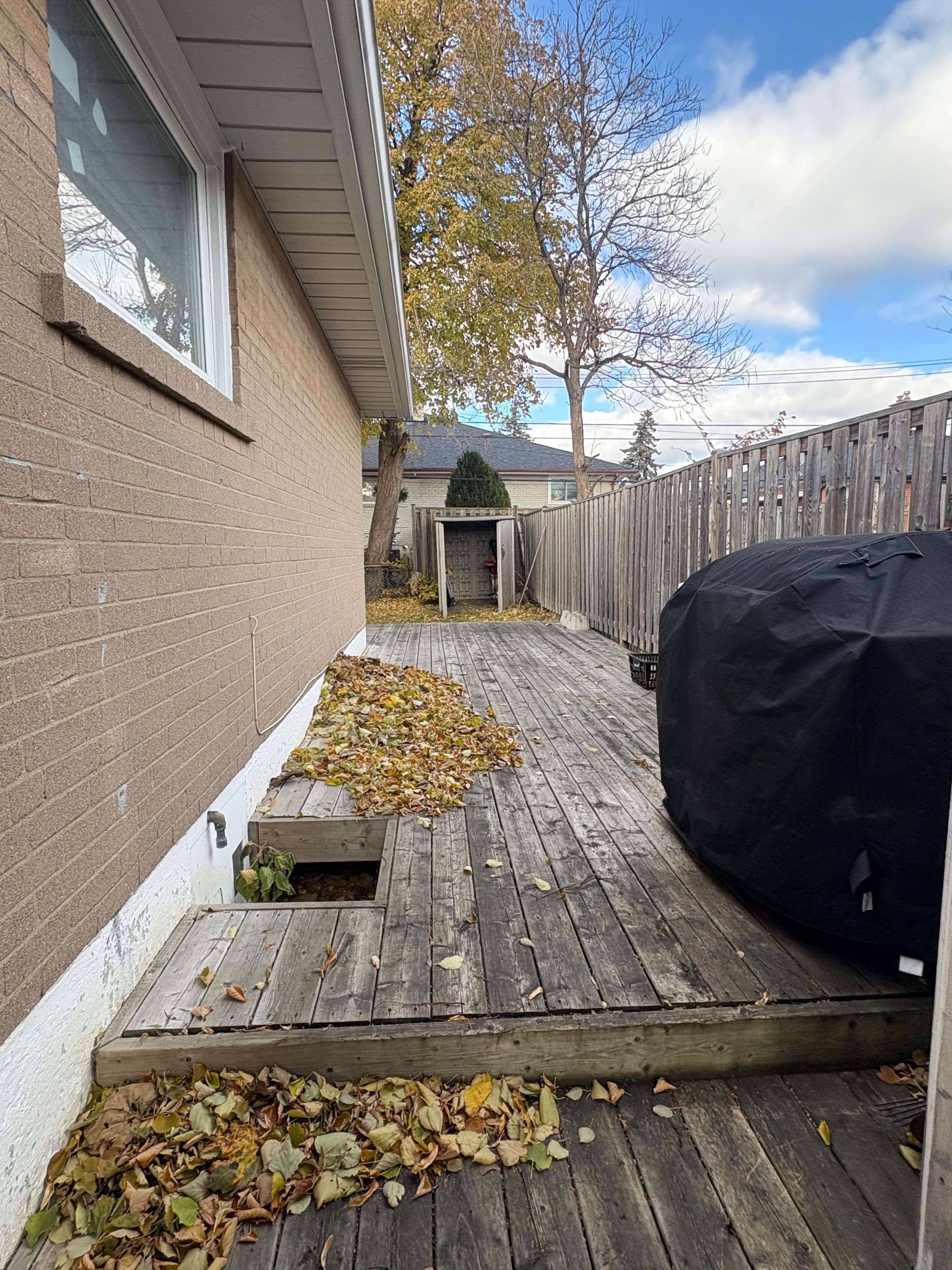 Brampton, ON L6T 1H7,124 Avondale Blvd (Basement) N/A