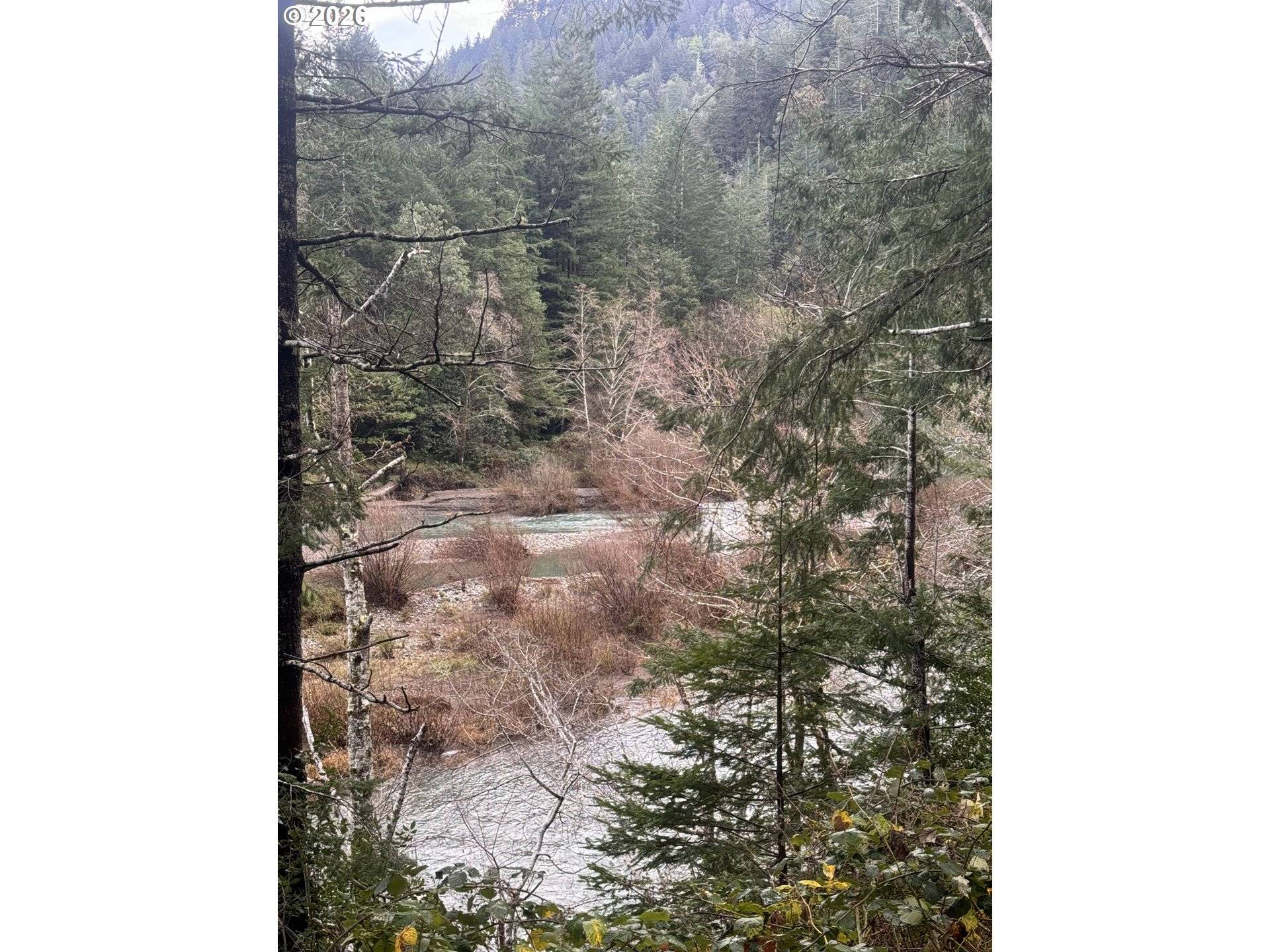 Port Orford, OR 97465,41574 SWINGING BRIDGE LN