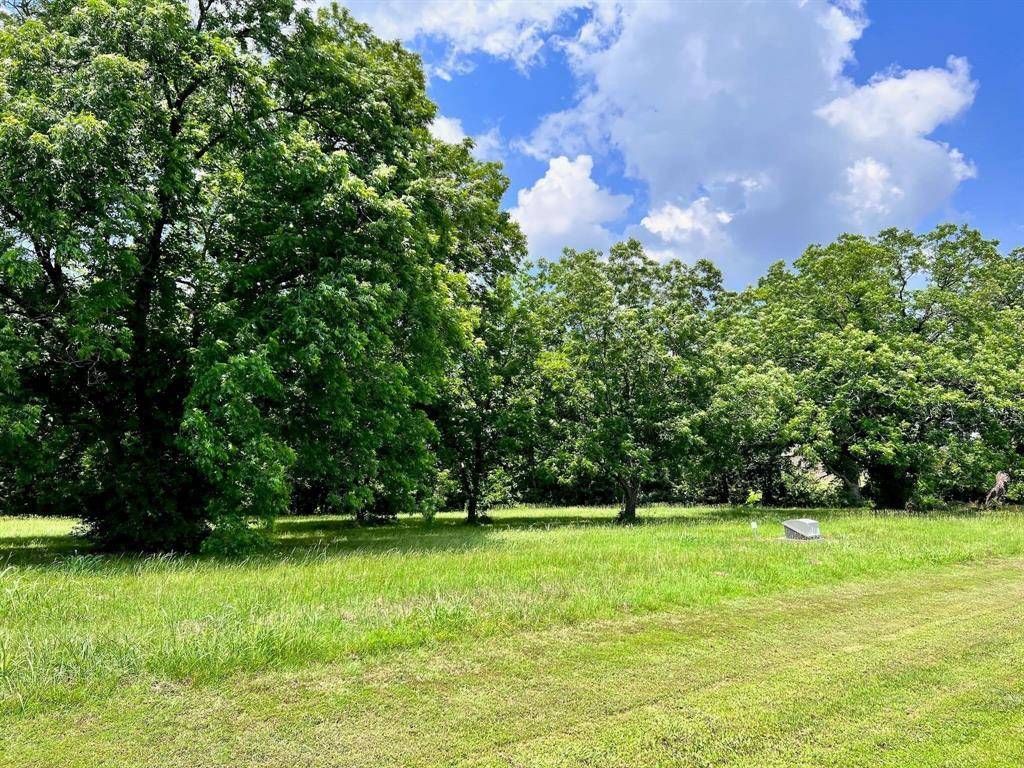 Streetman, TX 75859,LOT 1-R South Point Drive