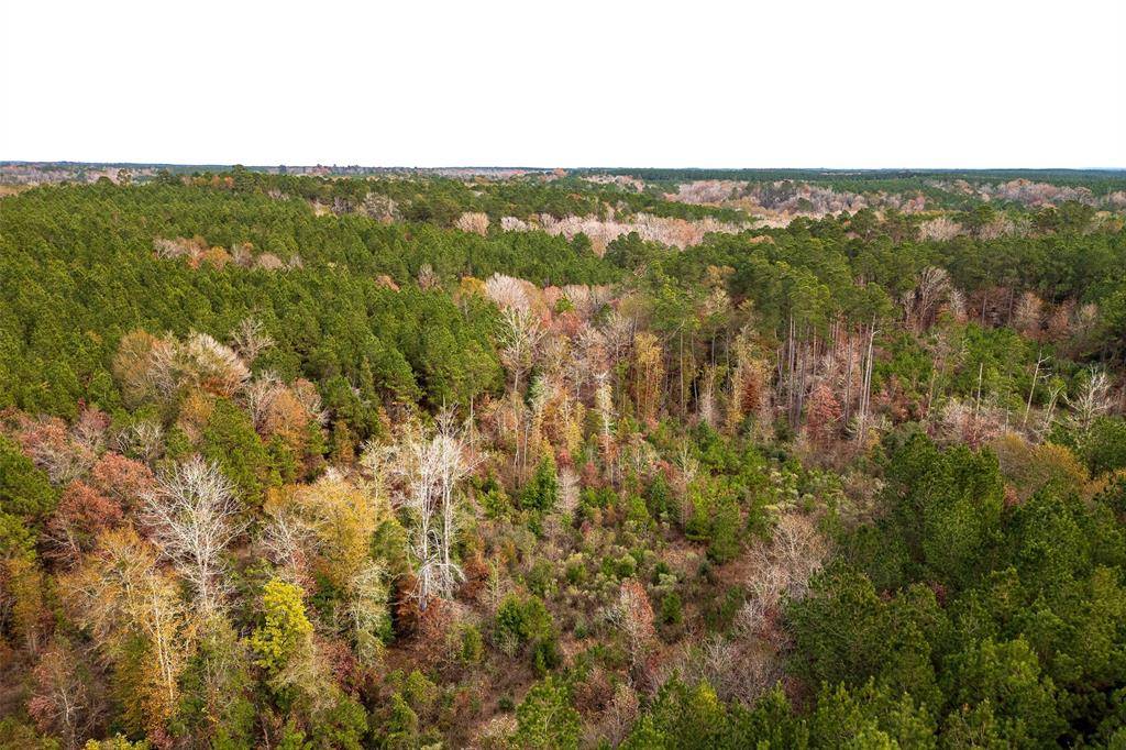 Center, TX 75935,00 County Road 1247