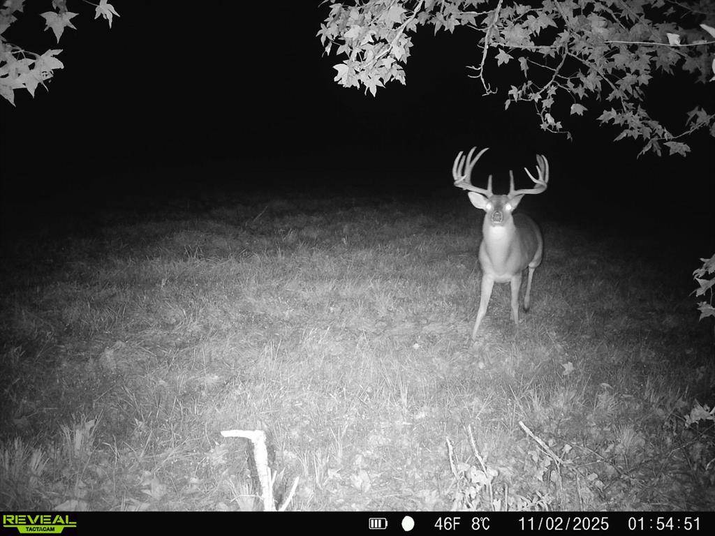 Naples, TX 75568,TBD CR 2738