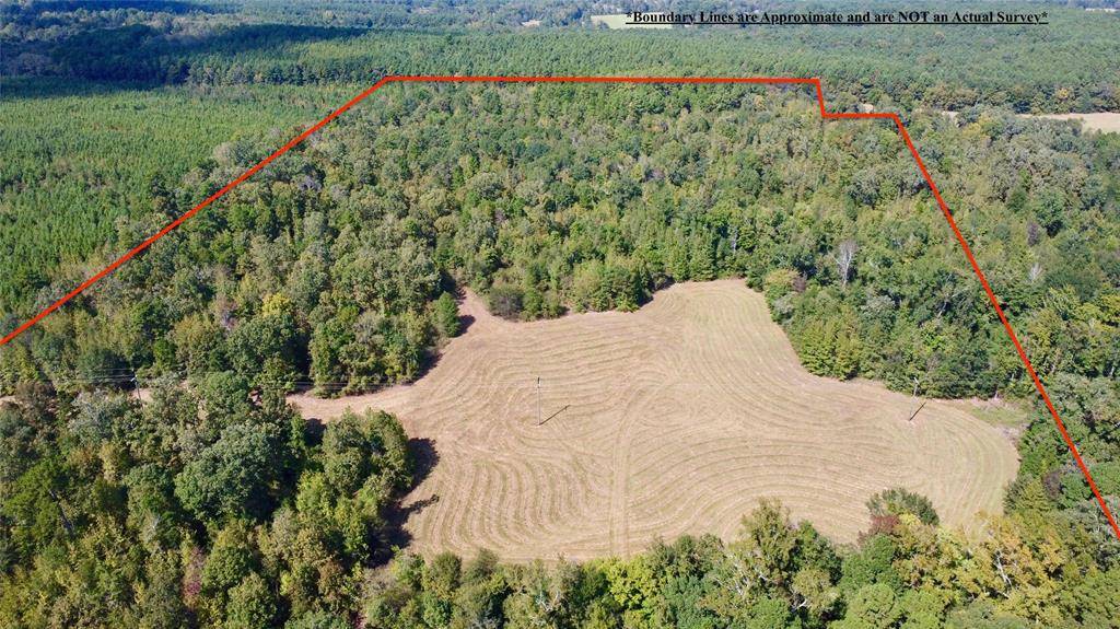 Naples, TX 75568,TBD CR 2738