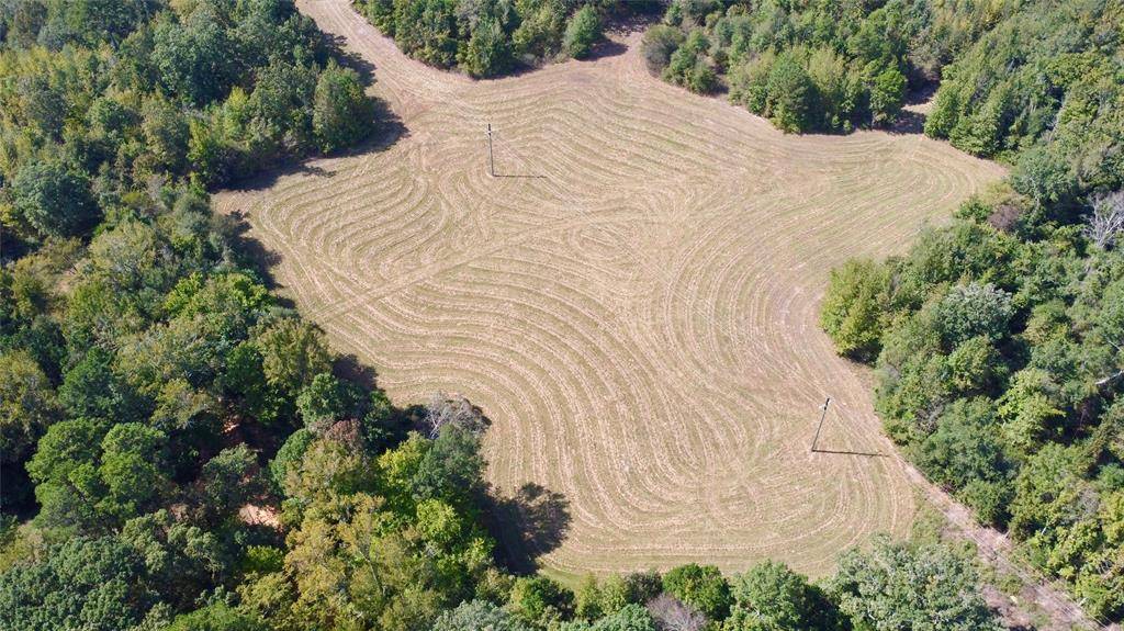 Naples, TX 75568,TBD CR 2738