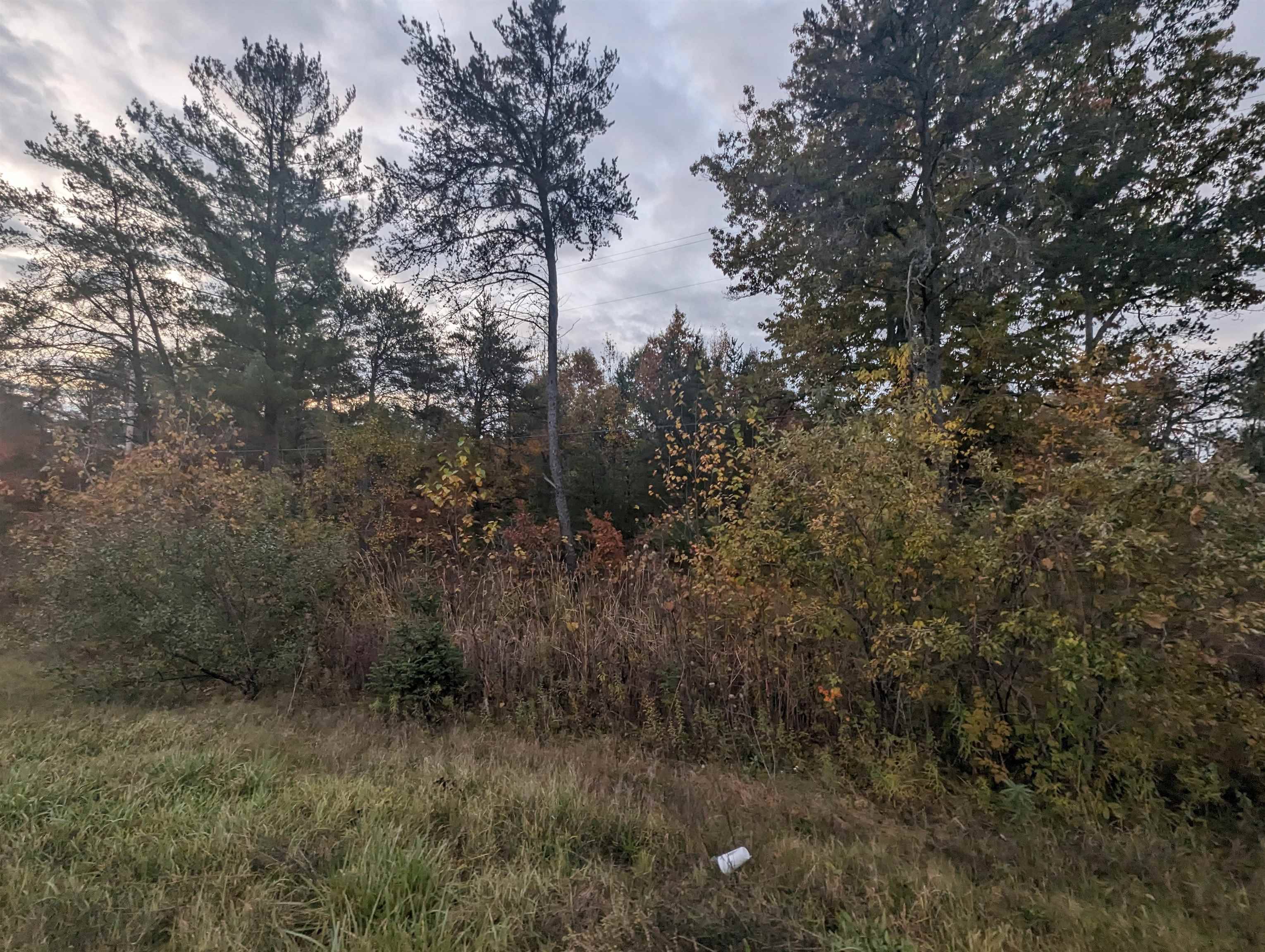 N/A E Huron, Au Gres Twp, MI 48749