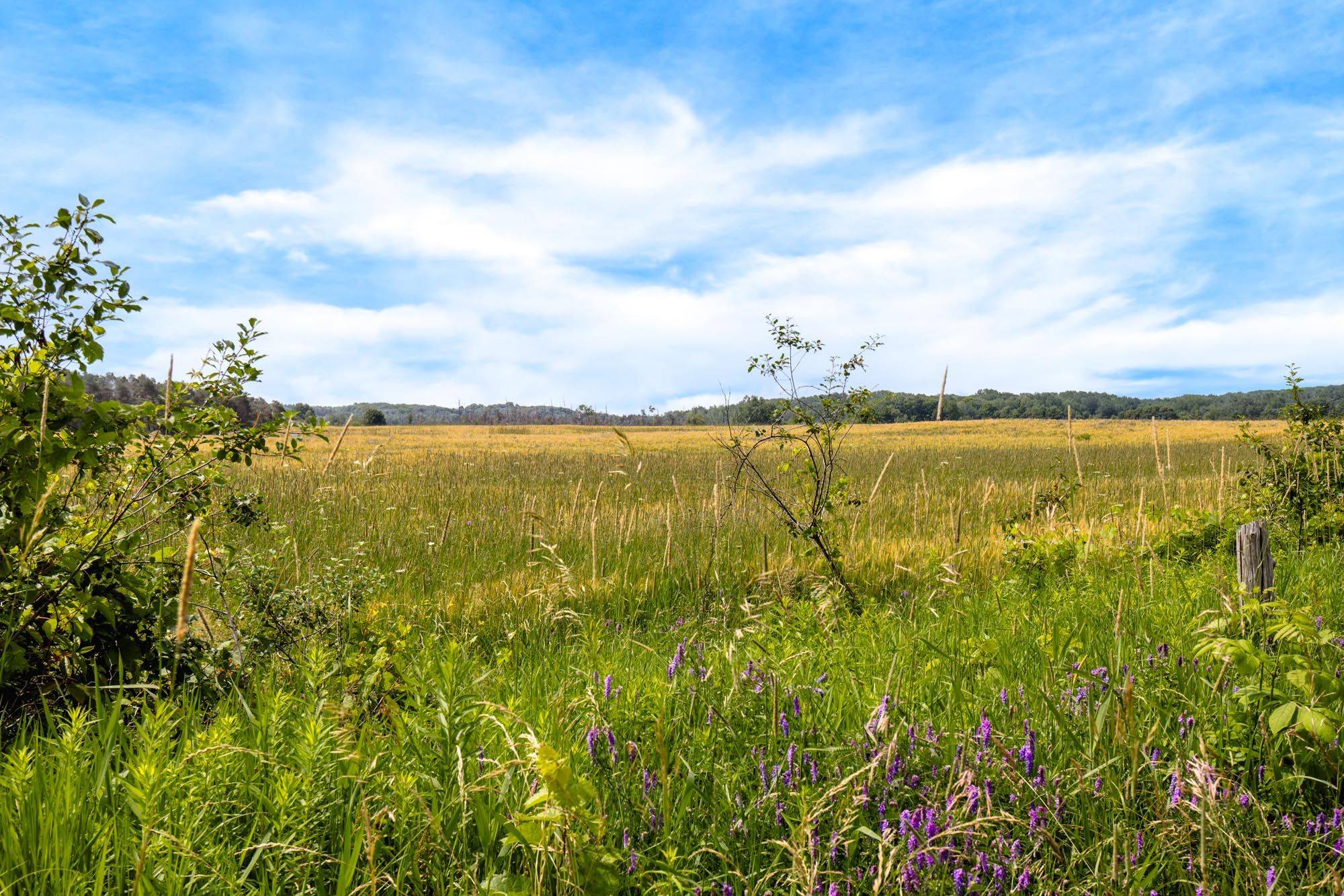 Penetanguishene, ON L9M 2C8,1511 Tay Point RD