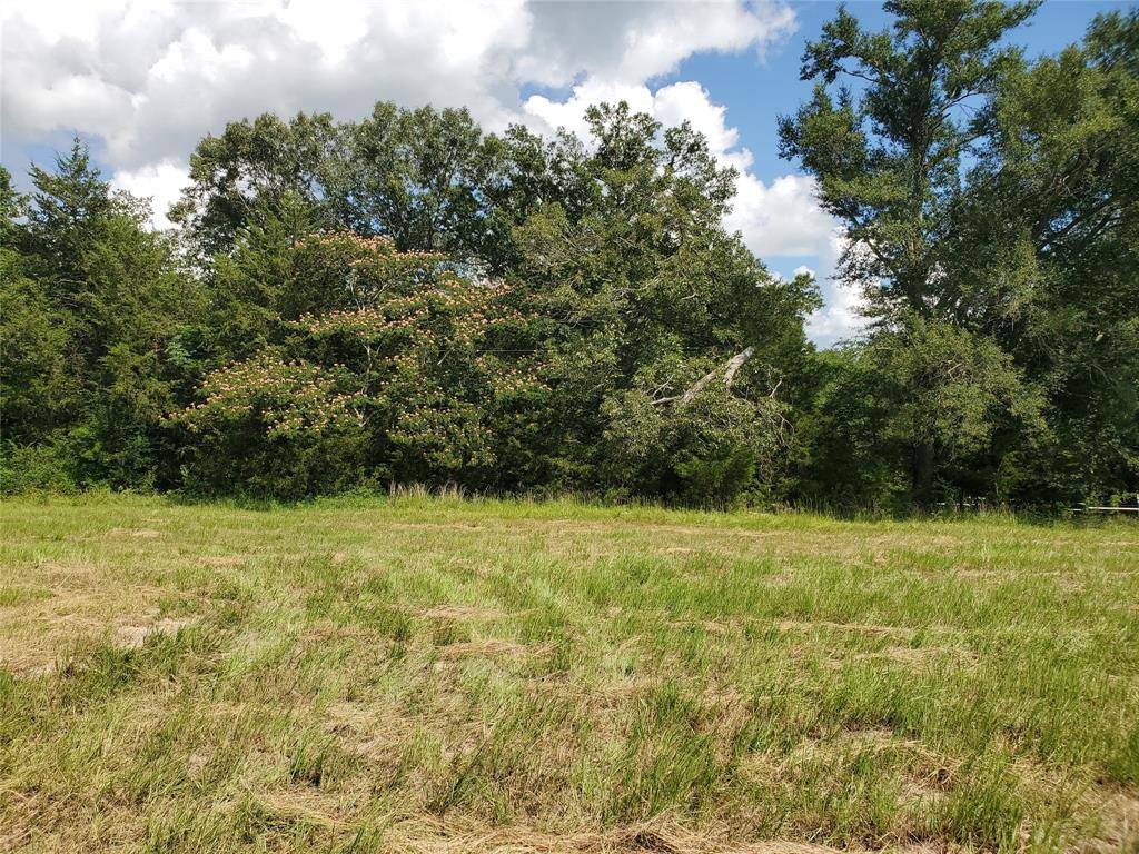 Emory, TX 75440,LOT 8 RS County Road 1140