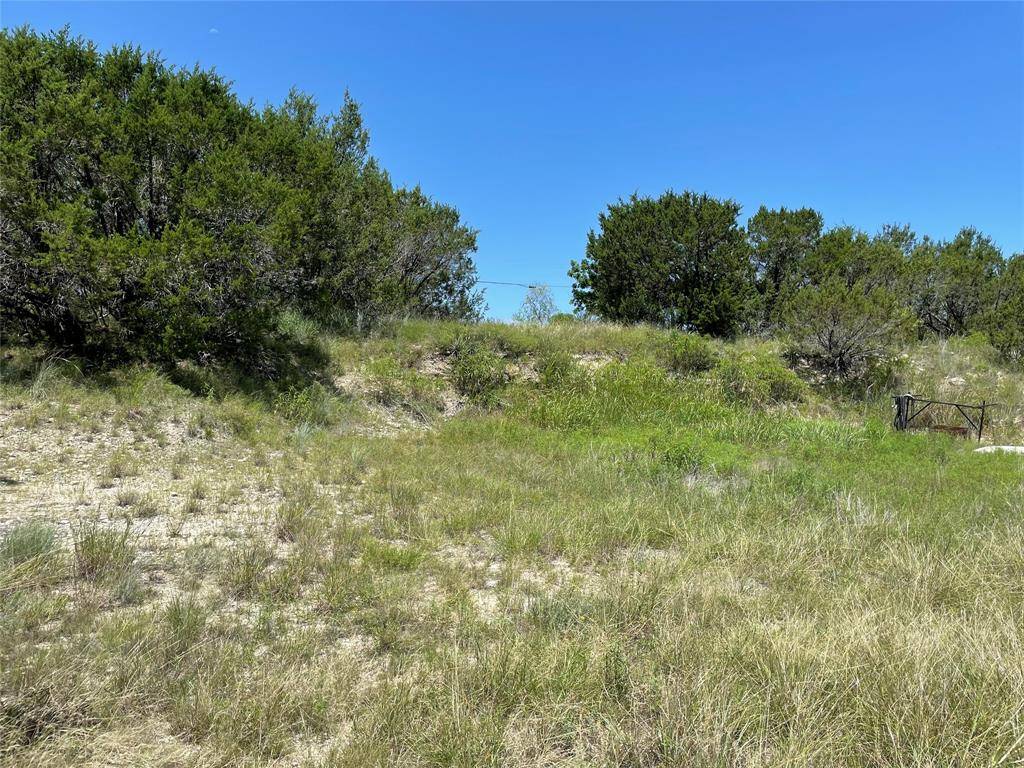 Bluff Dale, TX 76433,1425 Skyline Drive