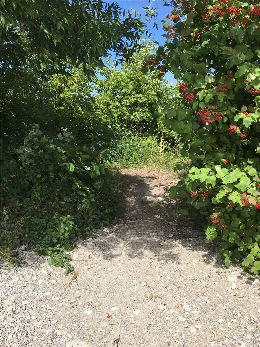 Ramara, ON L0K 1B0,81 Bayshore DR