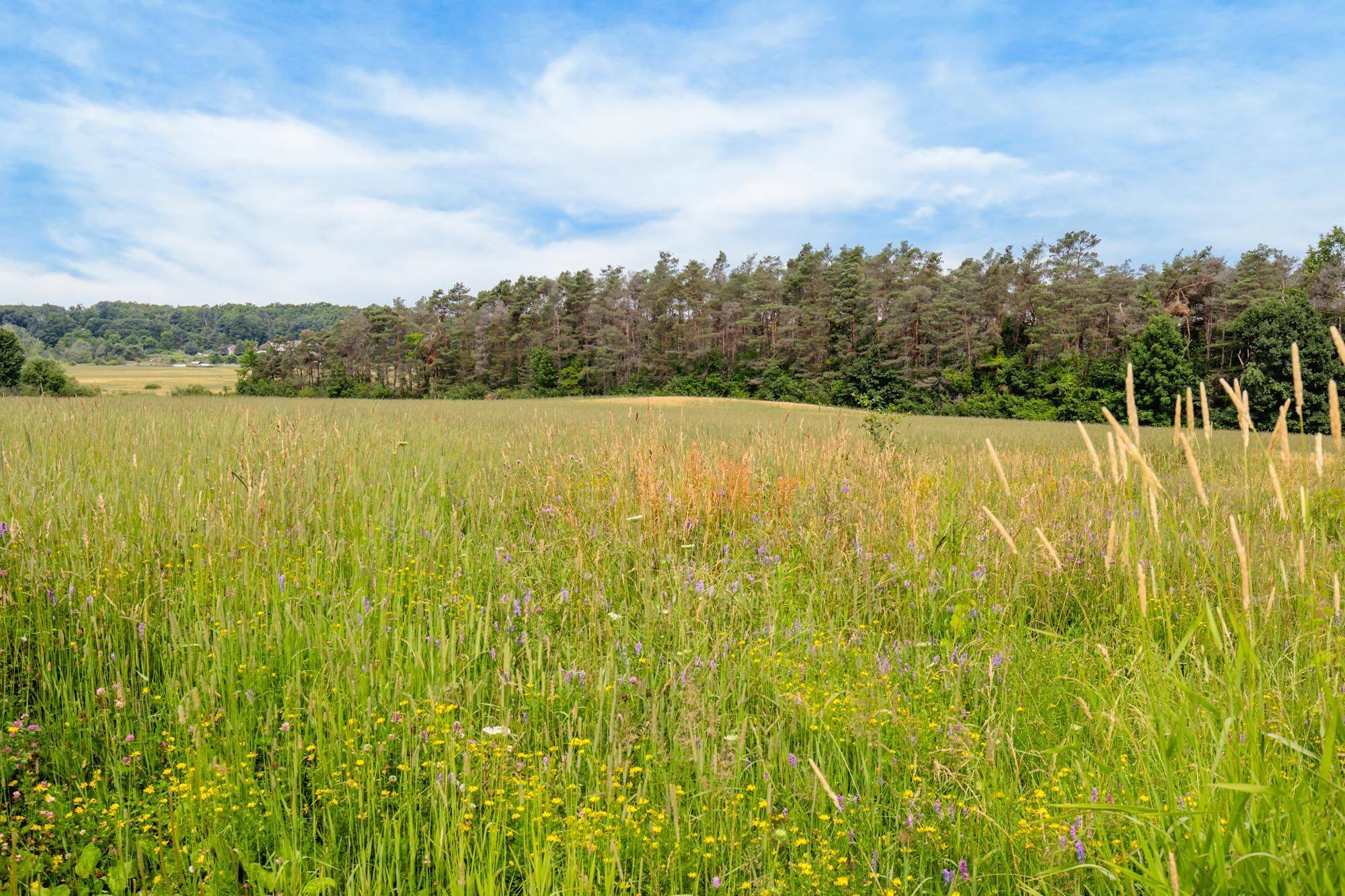 Penetanguishene, ON L9M 2C8,584 Curry RD