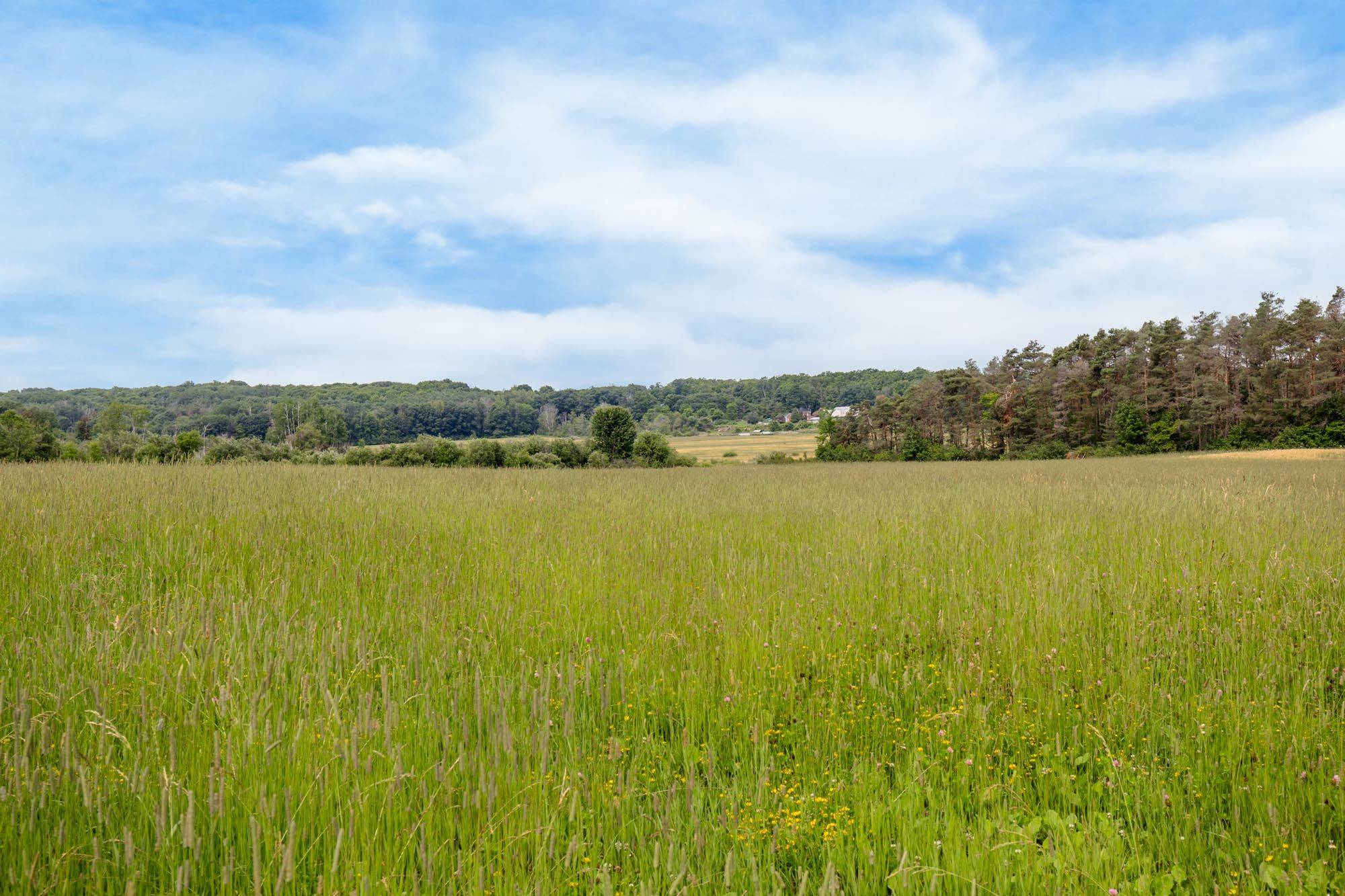 Penetanguishene, ON L9M 2C8,584 Curry RD