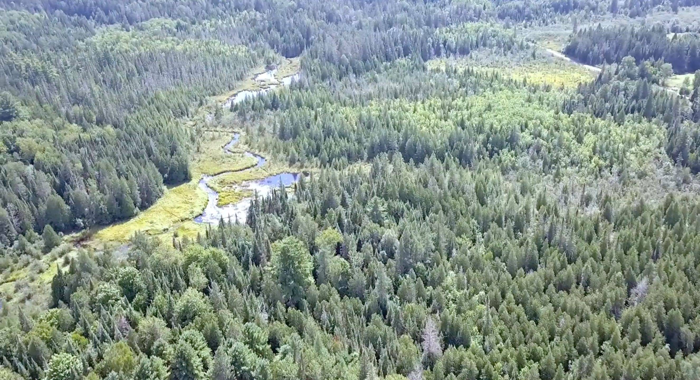 Addington Highlands, ON K0J 2R0,00 Snider RD