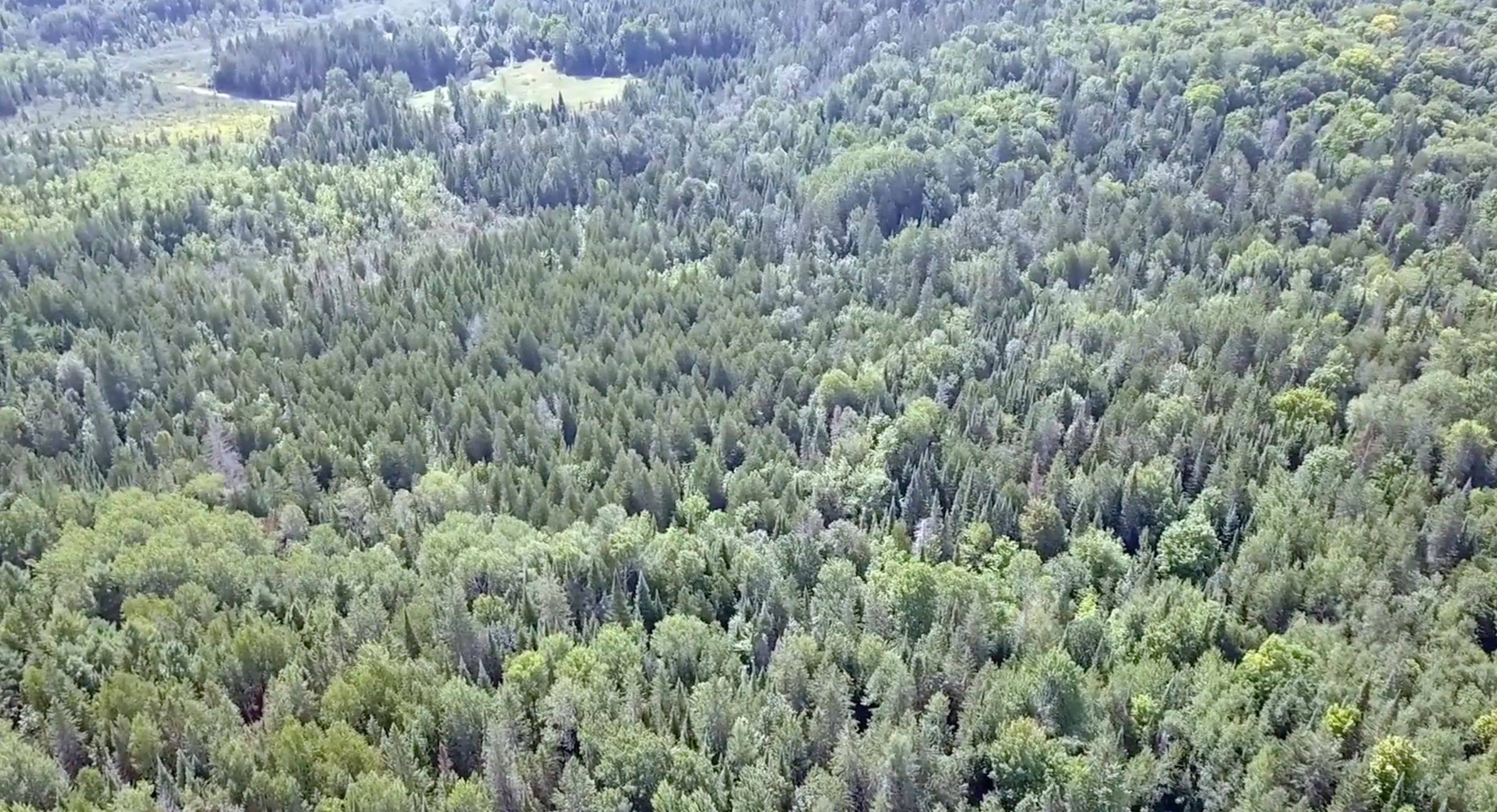 Addington Highlands, ON K0J 2R0,00 Snider RD