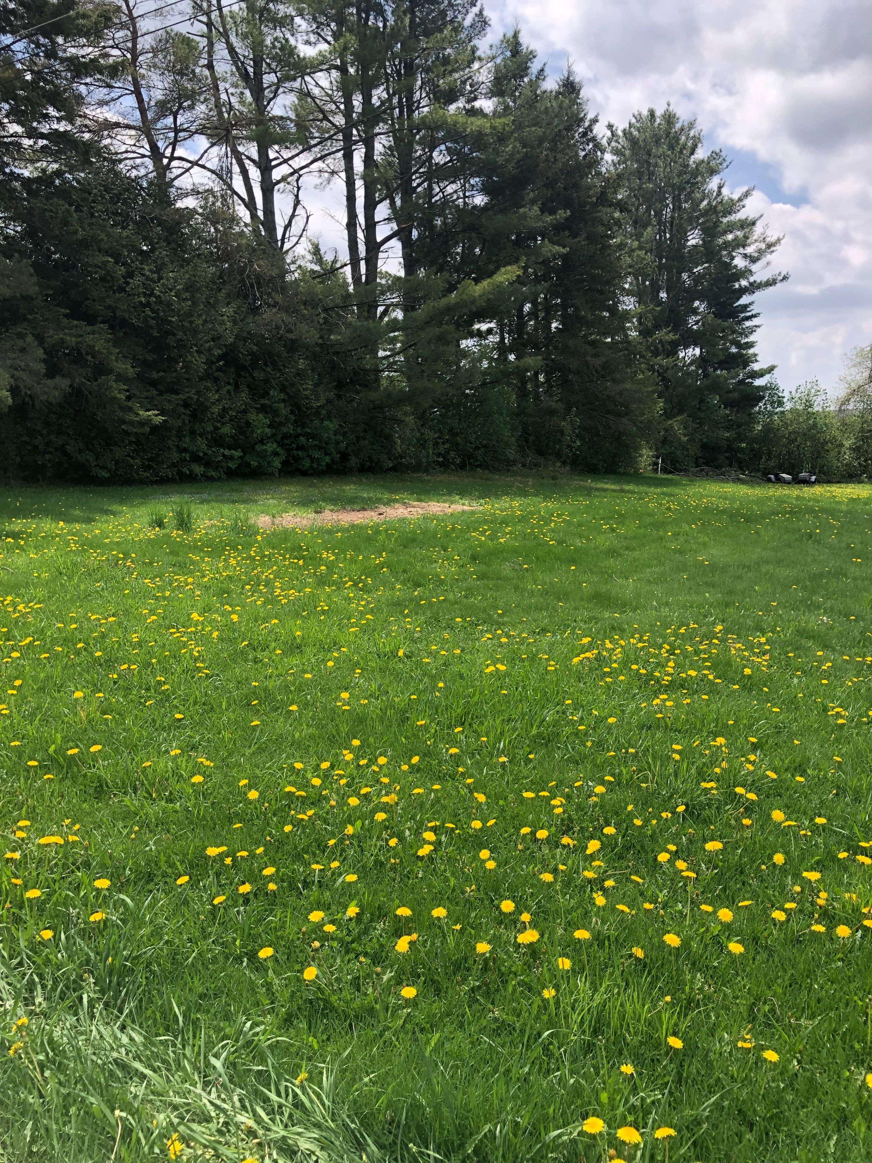 Kawartha Lakes, ON L3V 0H5,8 Fulsom CRES