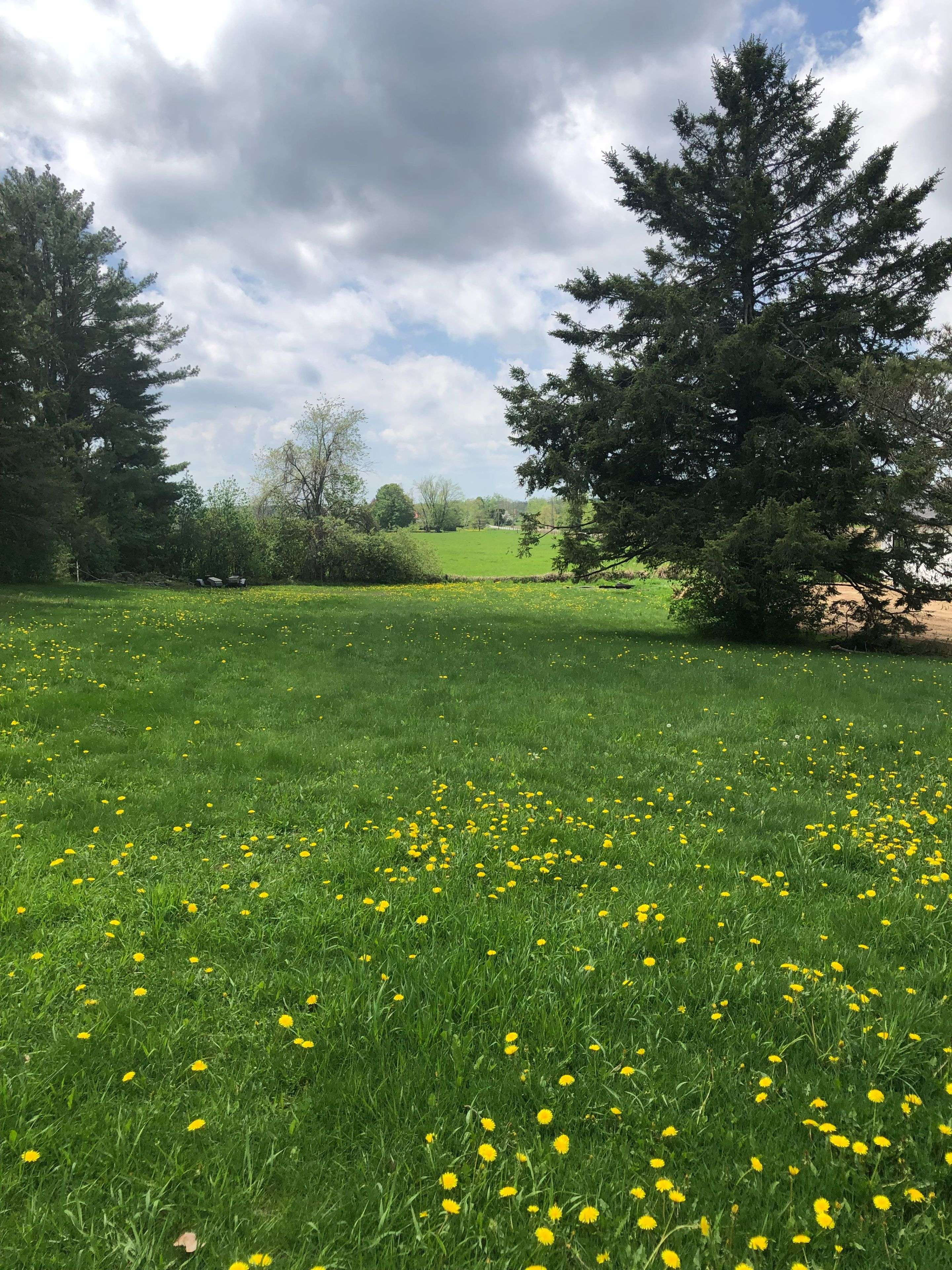 Kawartha Lakes, ON L3V 0H5,8 Fulsom CRES