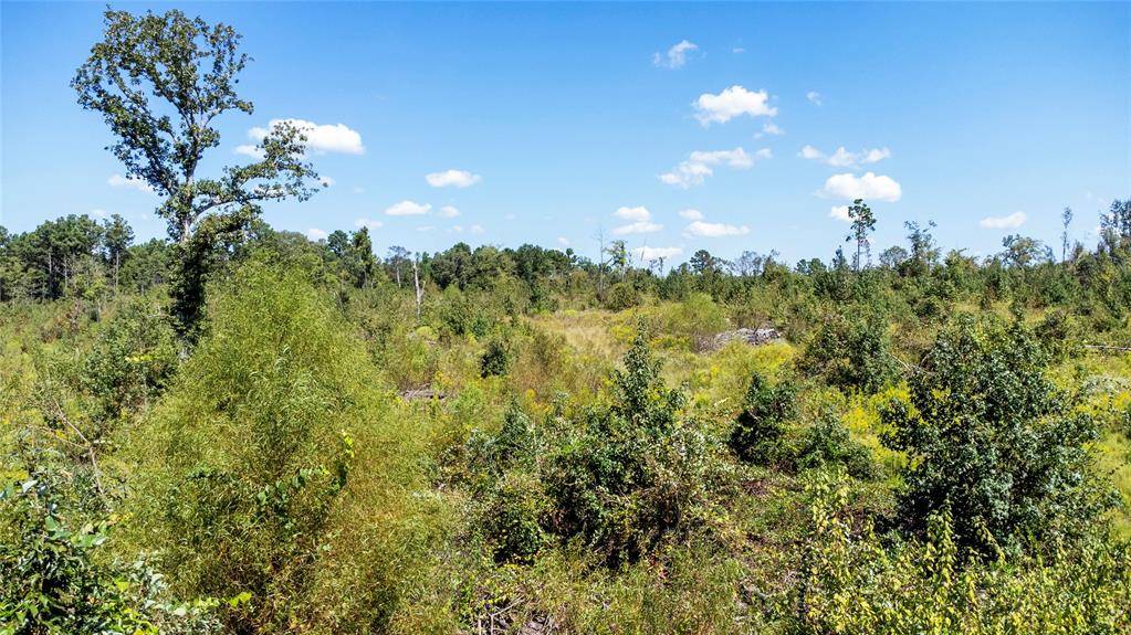 Arp, TX 75750,0 FM 850