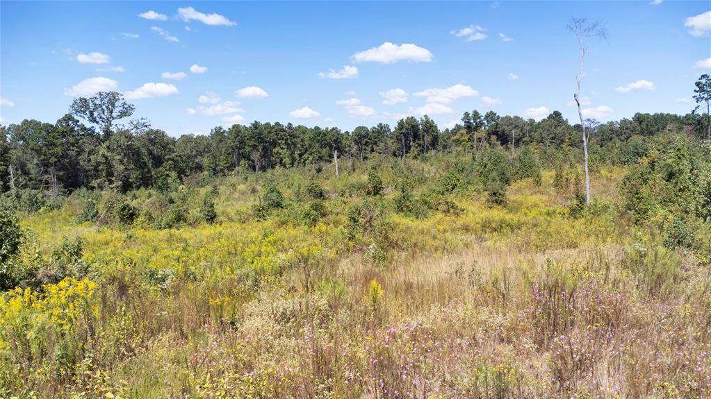 0 FM 850, Arp, TX 75750