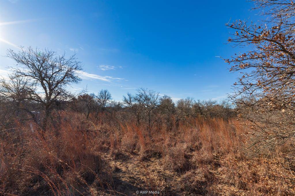 Anson, TX 79501,TBD Private Road 705