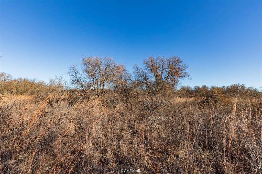 Anson, TX 79501,TBD Private Road 705