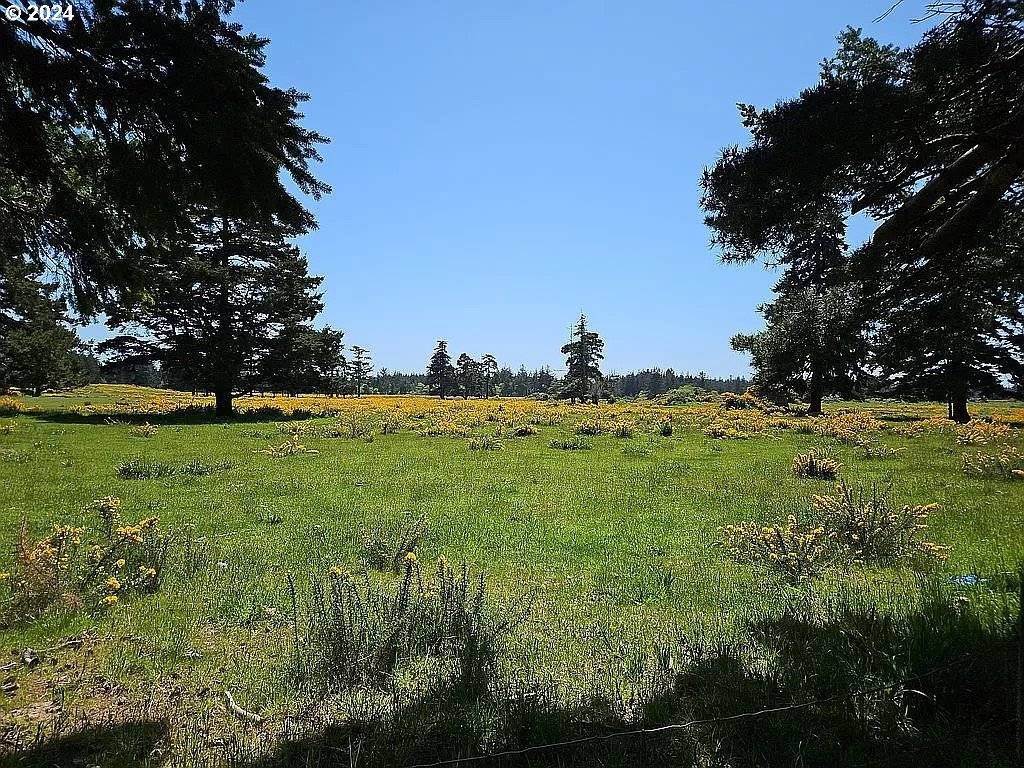 Port Orford, OR 97465,43460 NICHOLSON DR