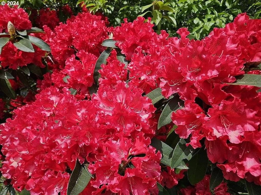 Port Orford, OR 97465,43460 NICHOLSON DR