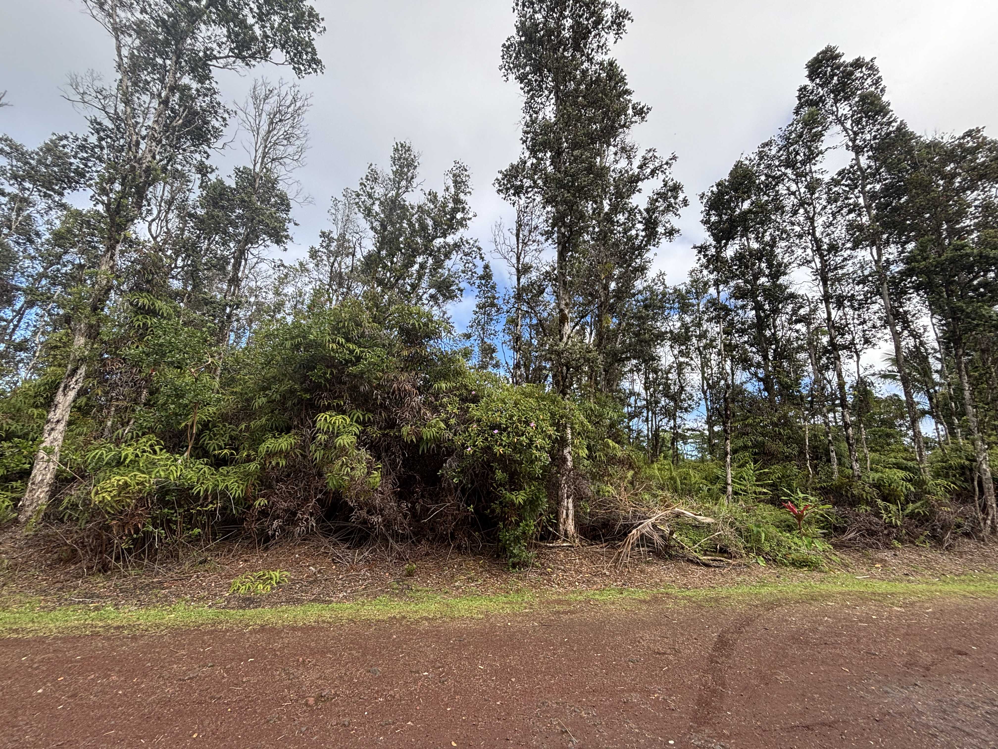 Pahoa, HI 96778,HILO ST