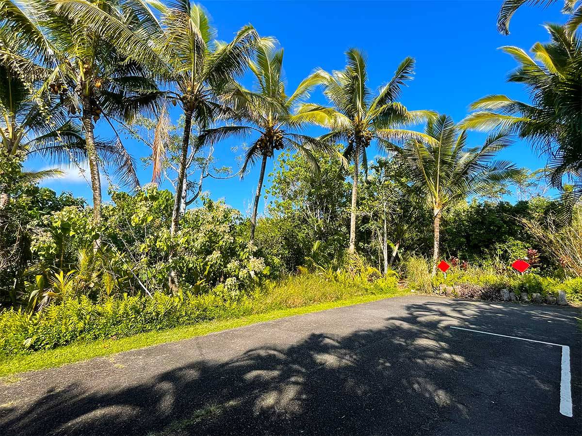 Pahoa, HI 96778,12-7002 KOAEKEA ST