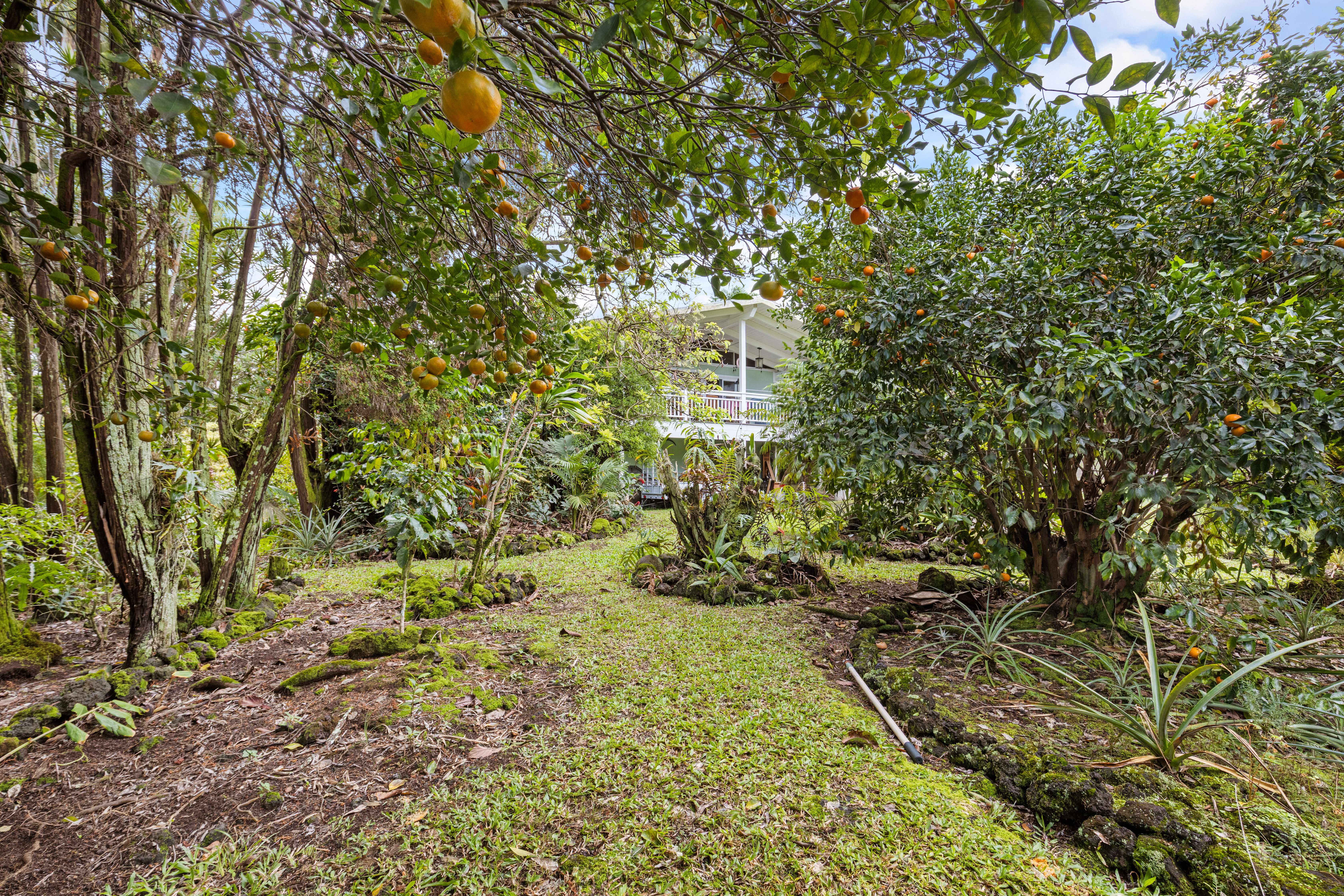 Hilo, HI 96720,595 KAWAILANI ST