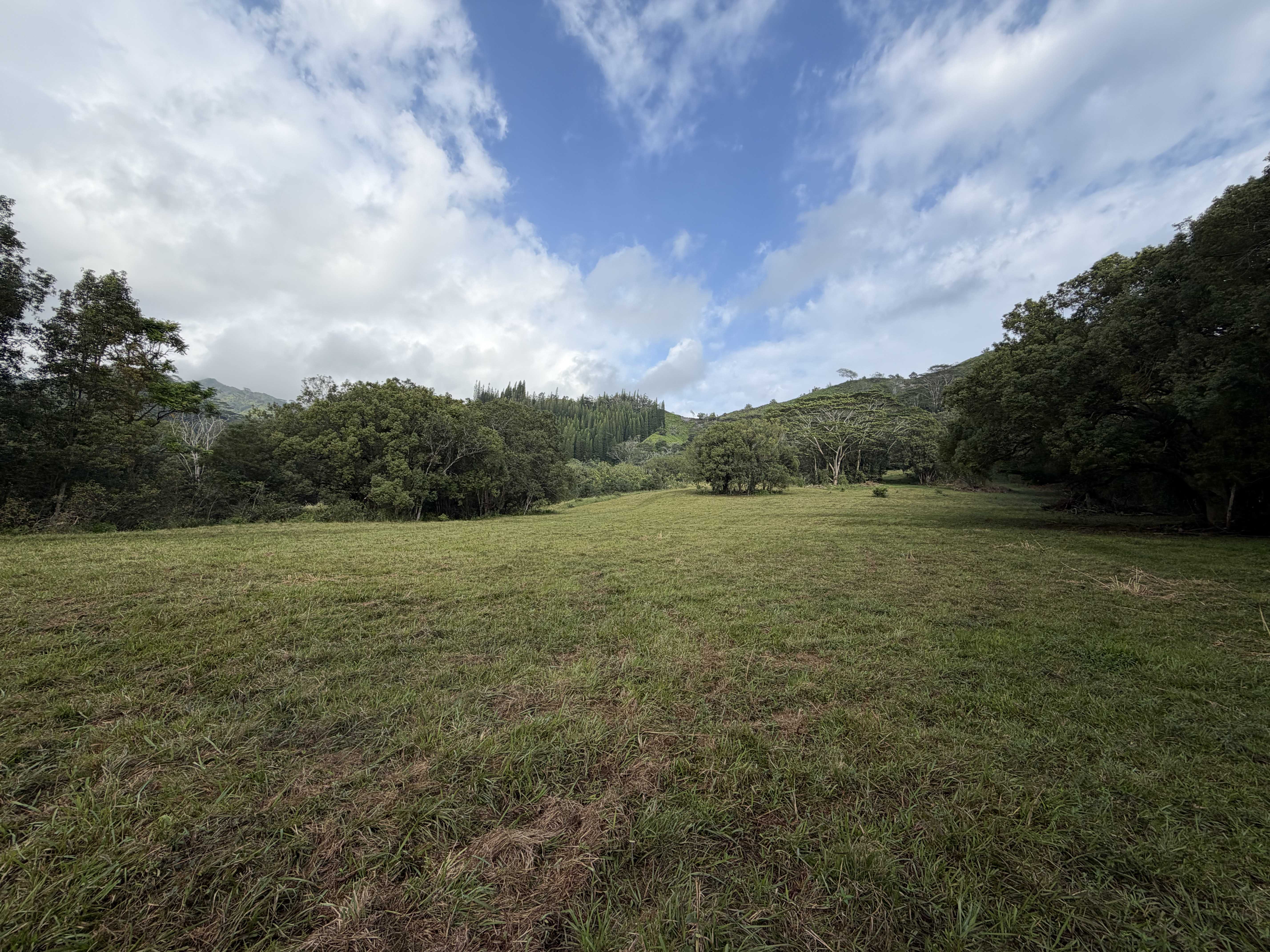 Kapaa, HI 96746,AHIAHI RD