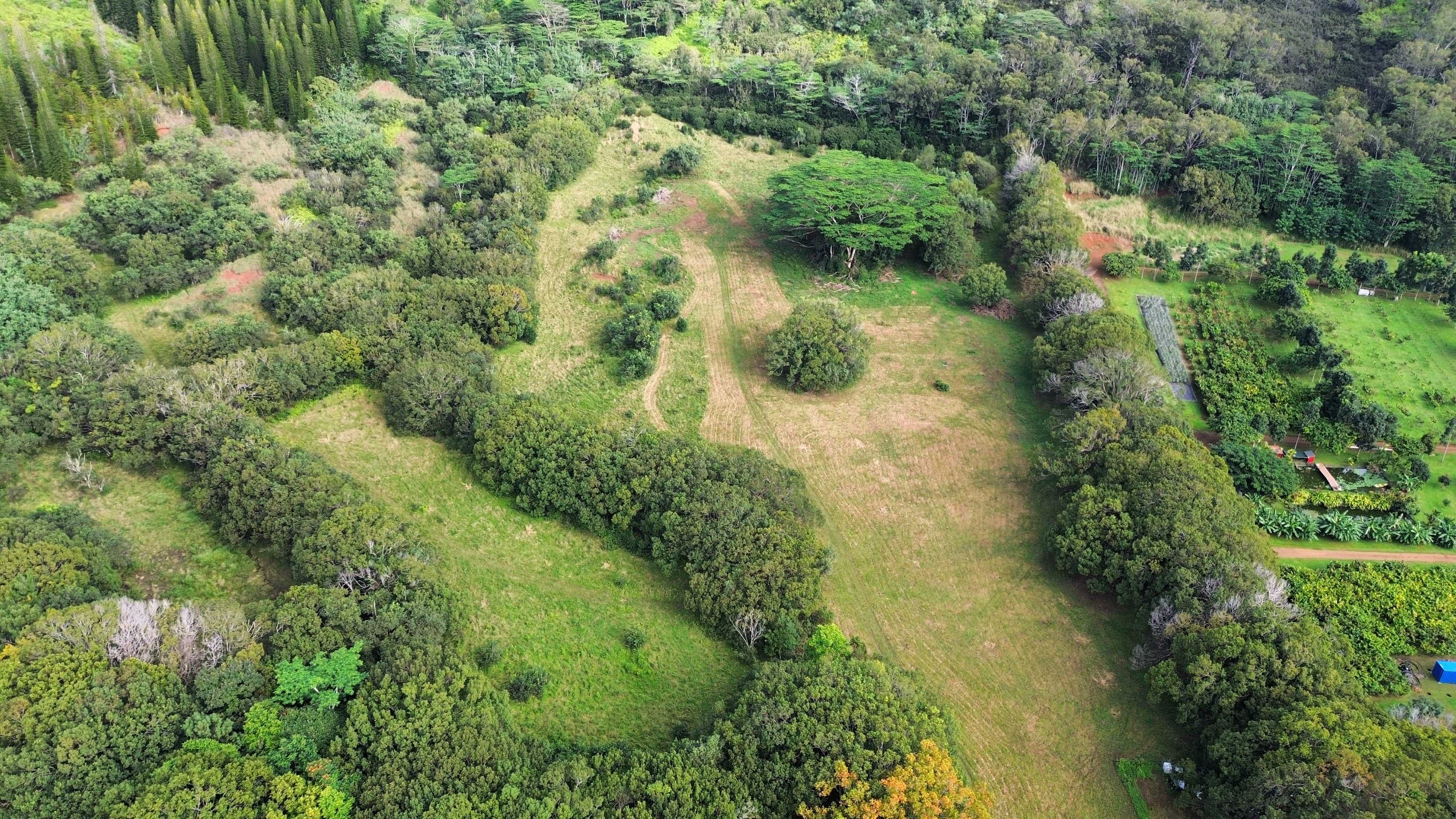 Kapaa, HI 96746,AHIAHI RD