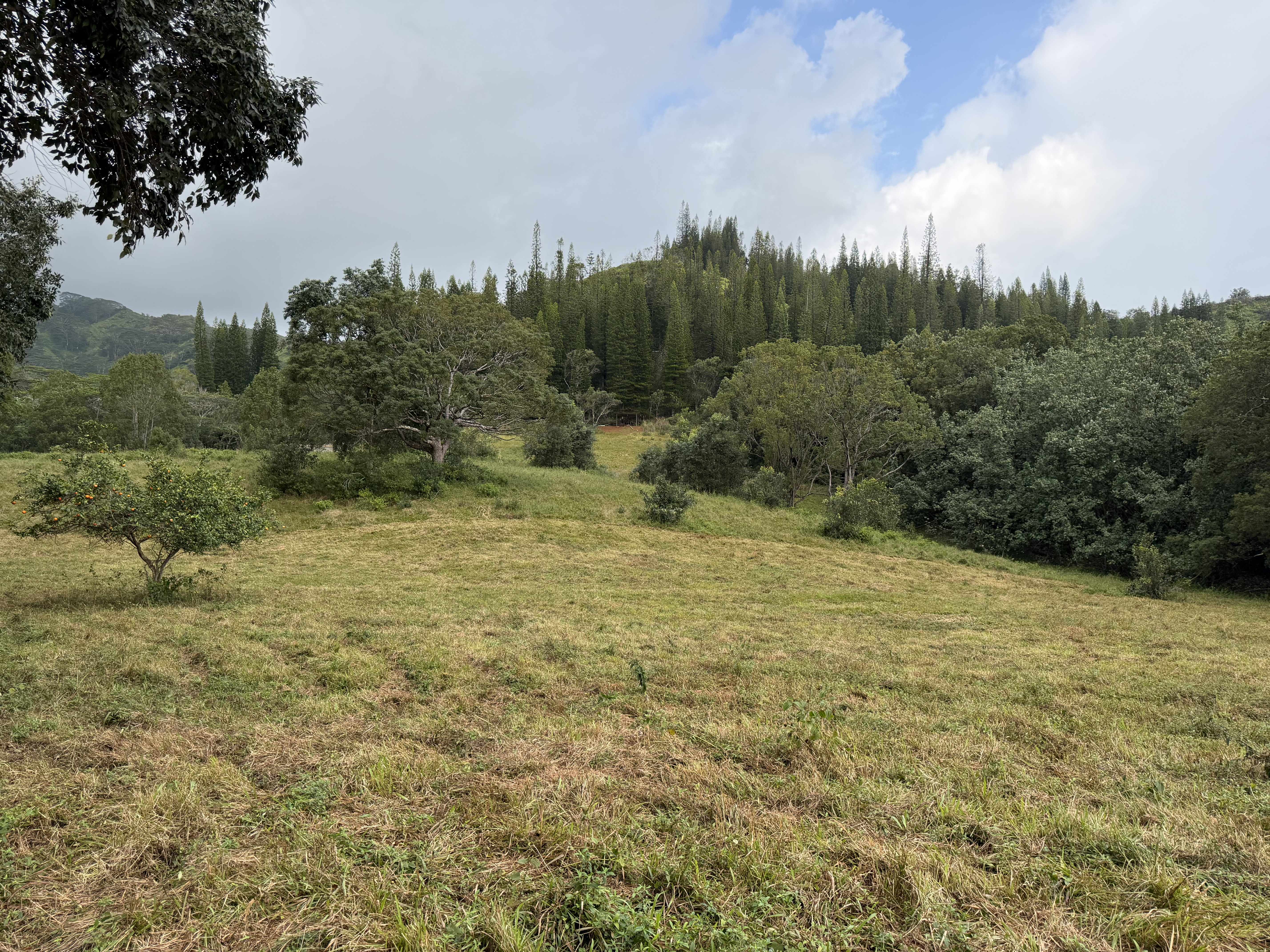 Kapaa, HI 96746,AHIAHI RD