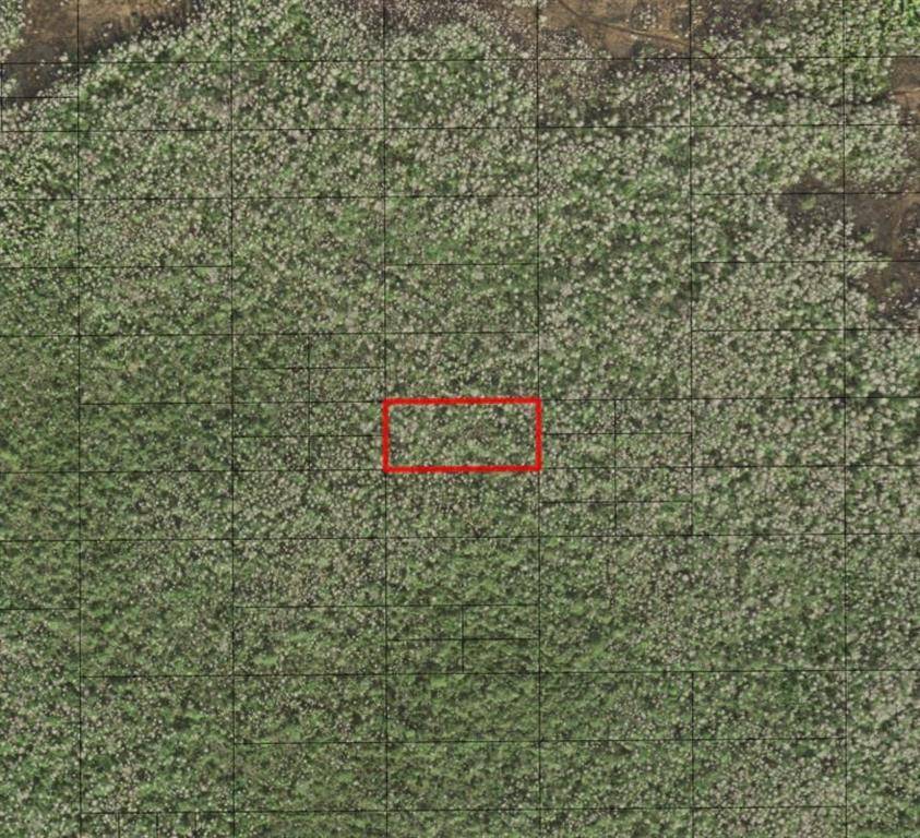 St. Cloud, FL 34772,0 HOLOPAW GROVES RD