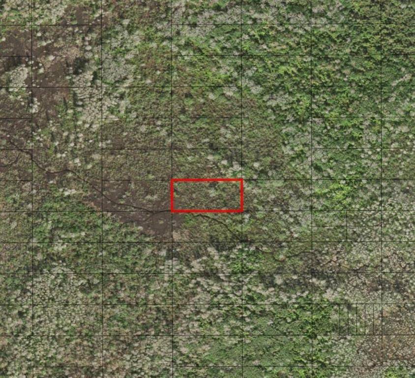 St. Cloud, FL 34772,0 HOLOPAW GROVES RD