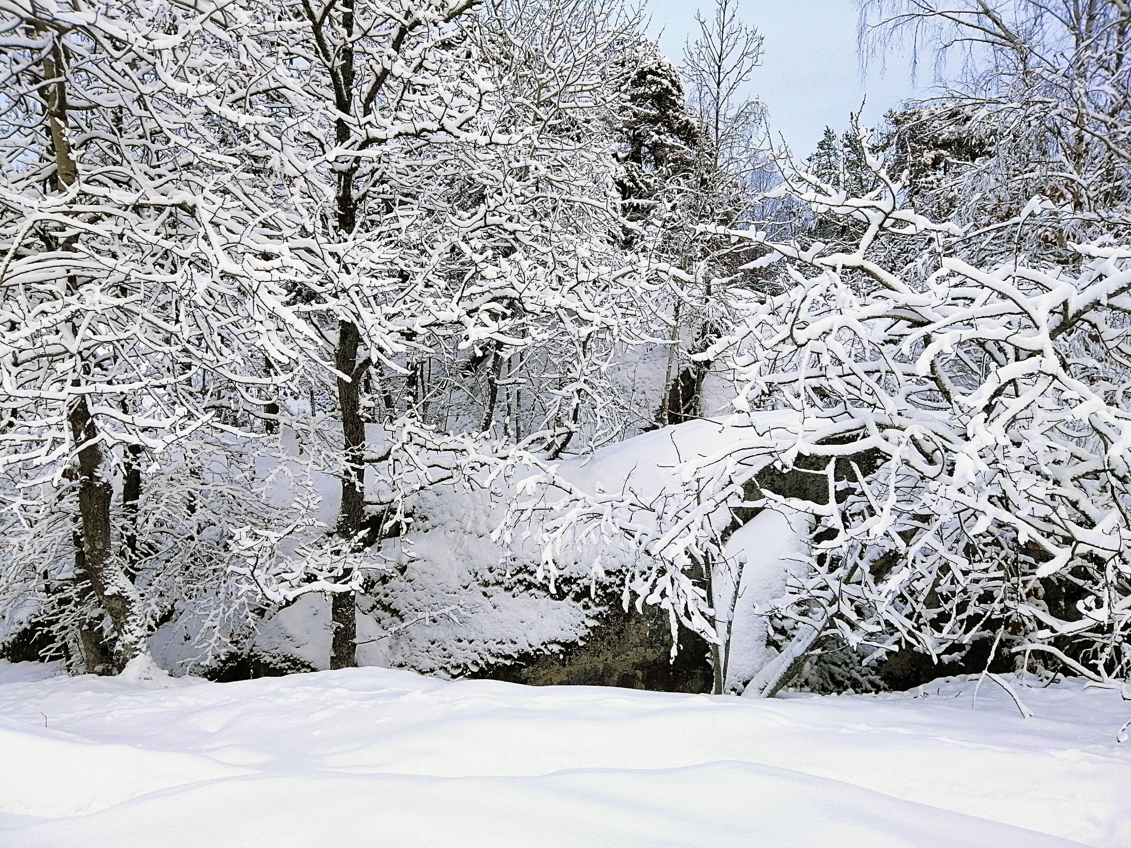 Rideau Lakes, ON K0G 1X0,384 Big Crosby Lake RD