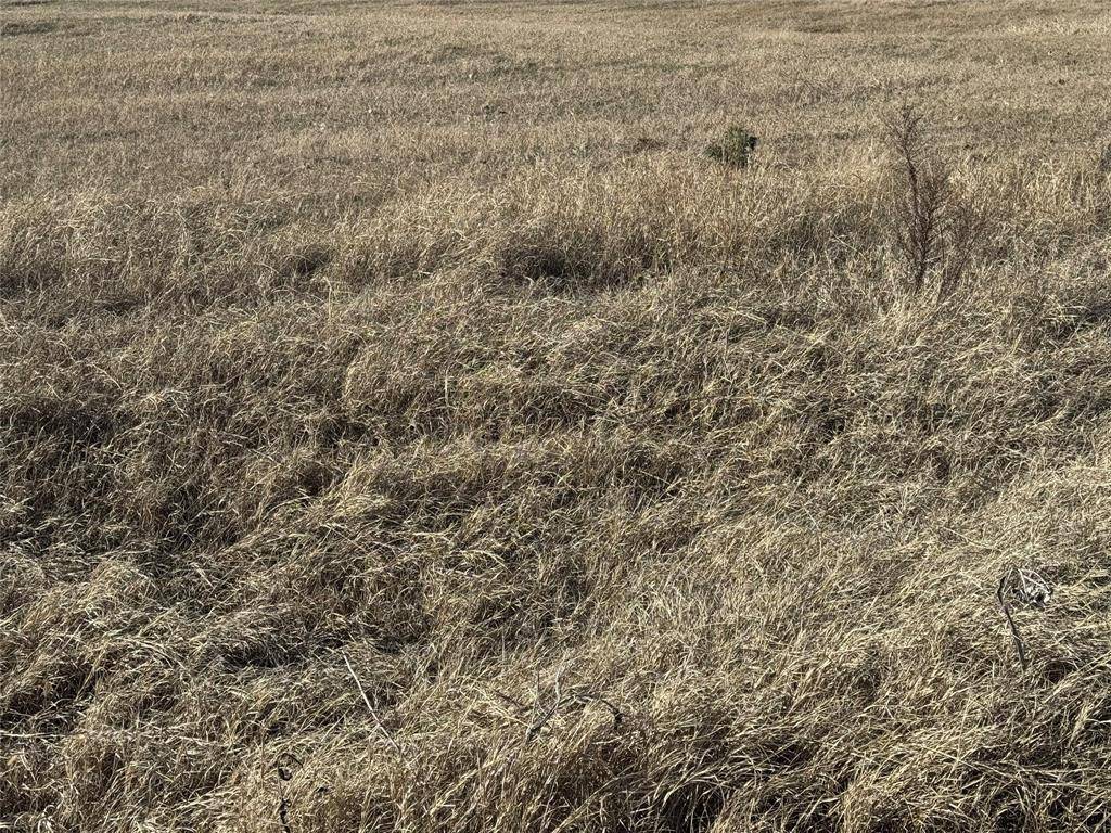 Whitesboro, TX 76273,0 FM -01