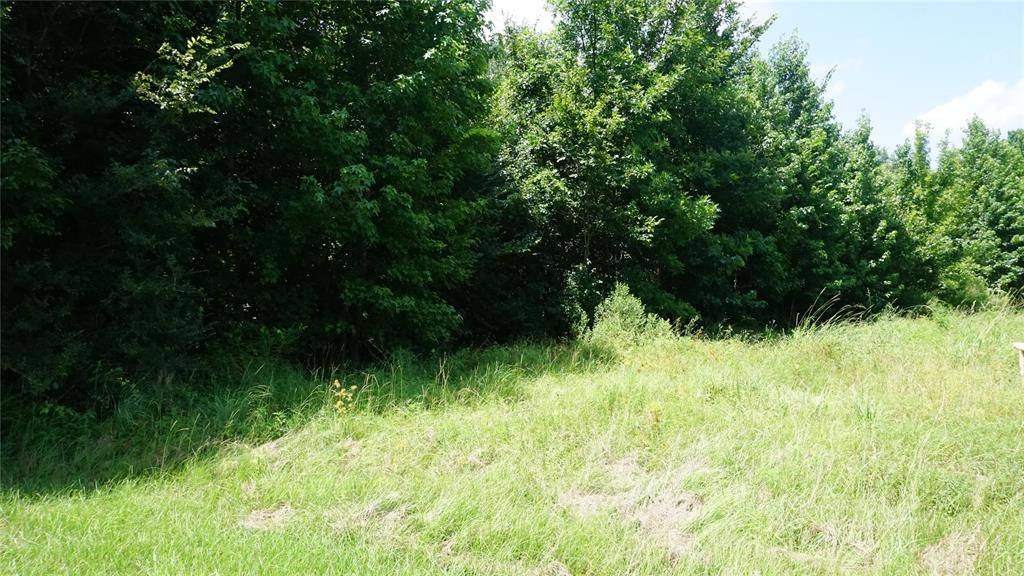 Hawkins, TX 75765,TBD Hwy 80