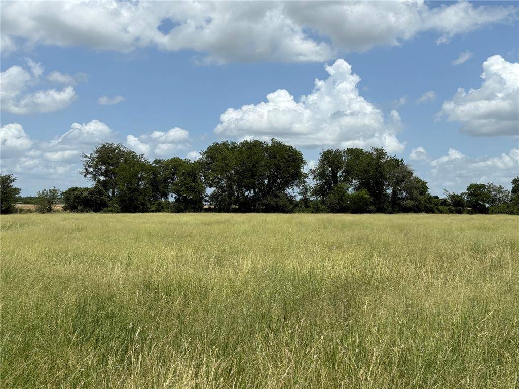 Valley Mills, TX 76689,Lot 5 Patton Road