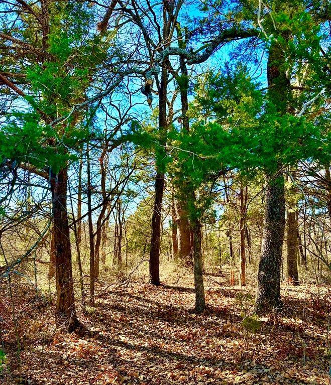 Gordonville, TX 76245,Lot 15 Dublin Circle