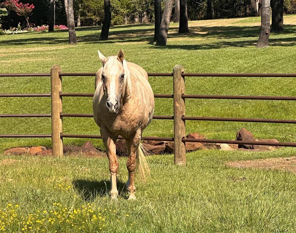 Pilot Point, TX 76258,7421 Dawn Avenue