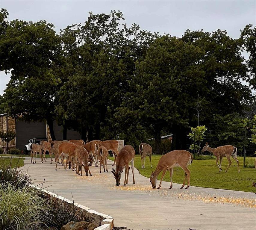 Pilot Point, TX 76258,7421 Dawn Avenue