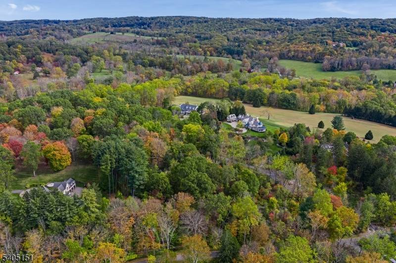 Peapack Gladstone Boro, NJ 07934,00 Branch Road