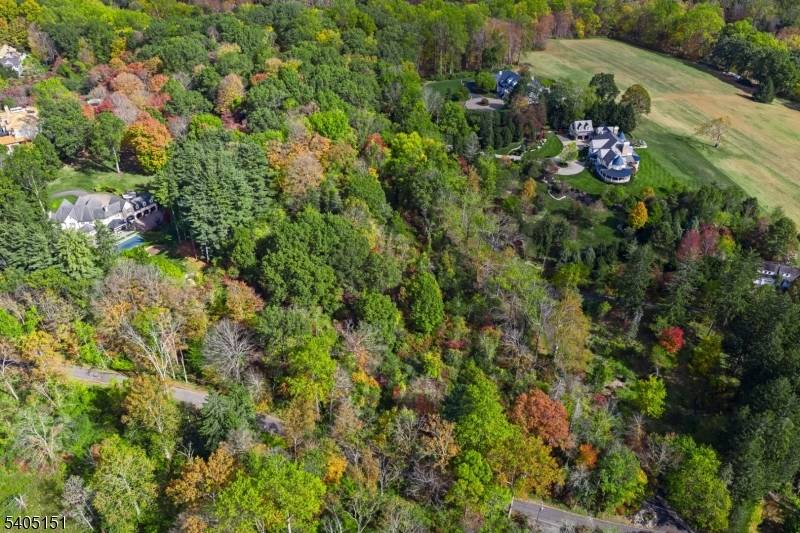 Peapack Gladstone Boro, NJ 07934,00 Branch Road