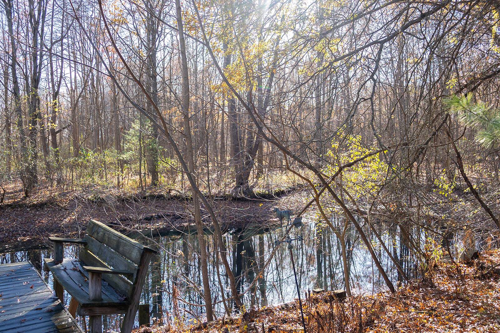 Baroda, MI 49101,11760 (A) Landon RD