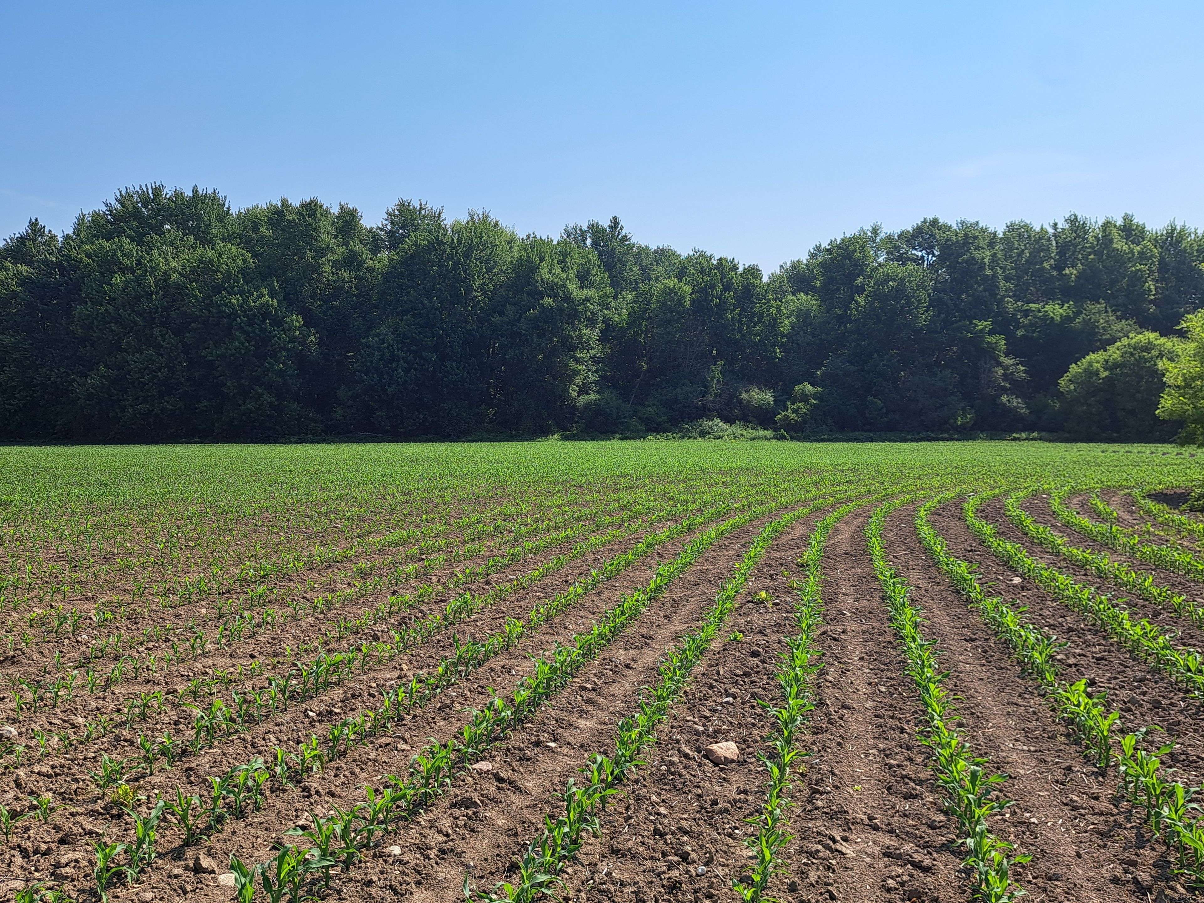 Bluewater, ON N0M 2T0,74018 Babylon Line