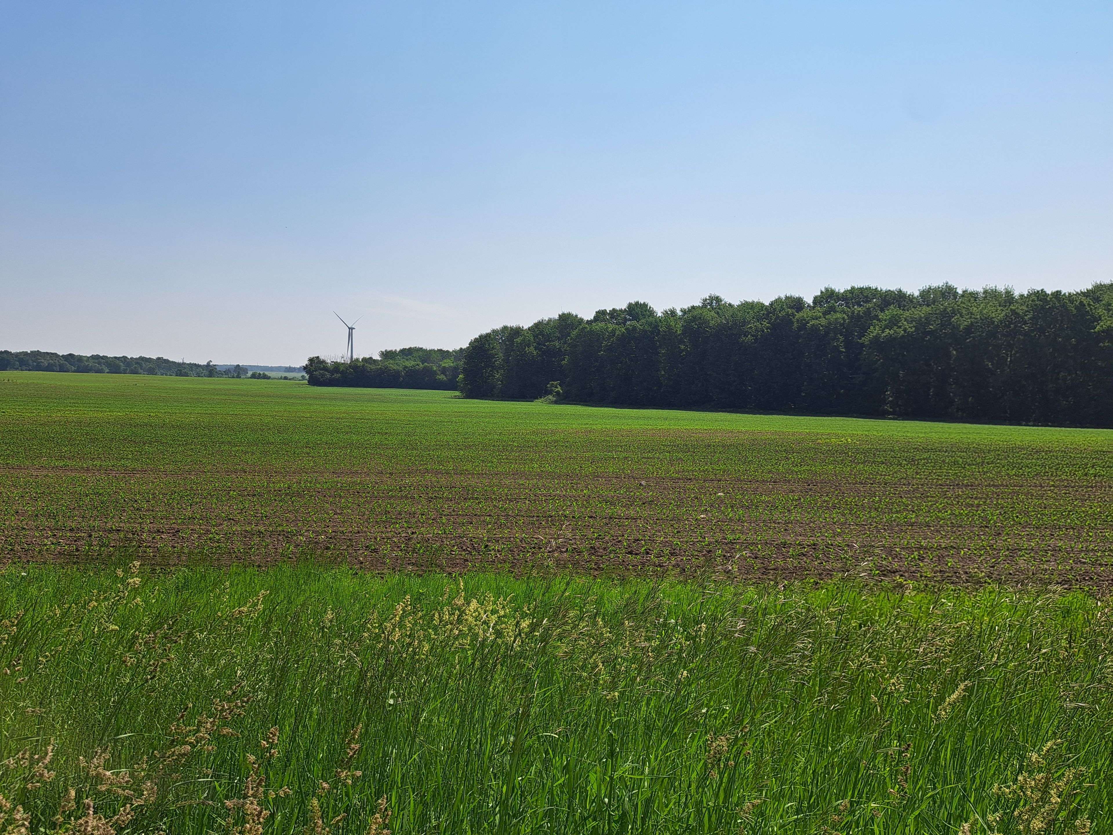 Bluewater, ON N0M 2T0,74018 Babylon Line