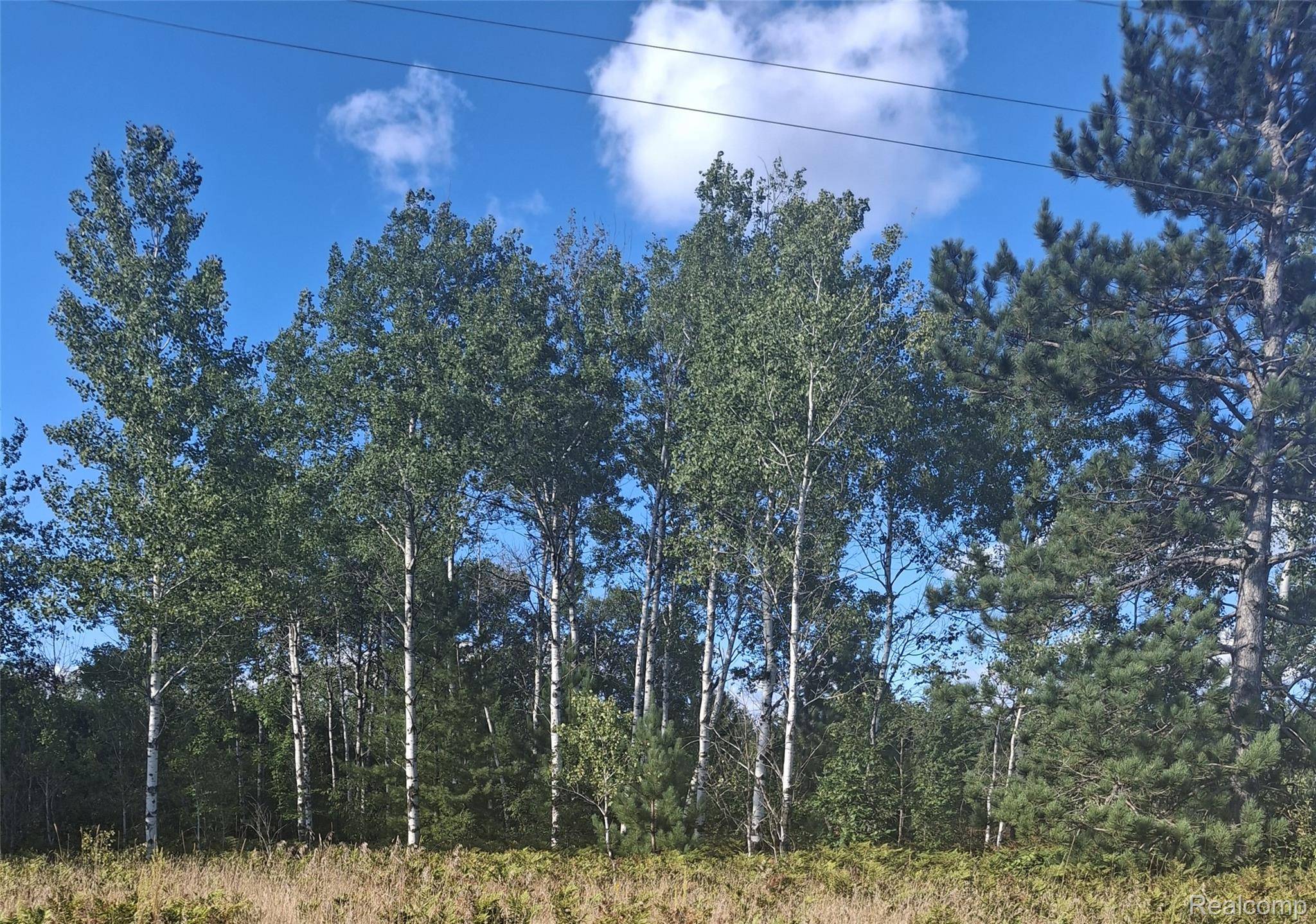 Mancelona, MI 49730,Lot 514 Pencil Lake Road